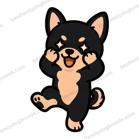 Chihuahua dog meme sticker preview