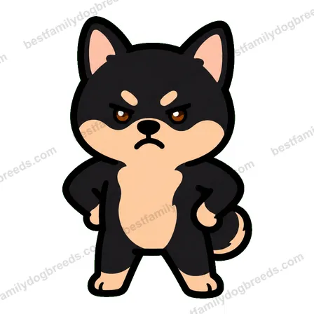 Chihuahua sticker 9