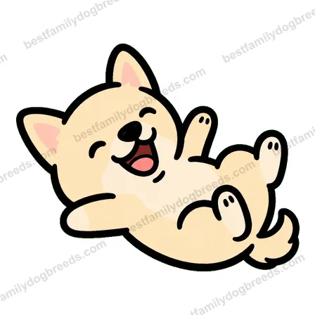 Chihuahua dog meme sticker preview