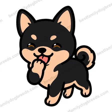 Chihuahua sticker 16