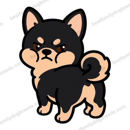 Chihuahua dog meme sticker preview