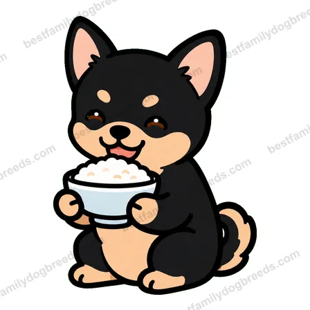 Chihuahua sticker 21