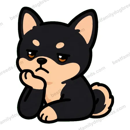 Chihuahua sticker 26