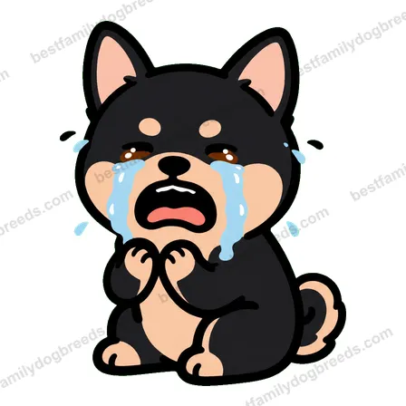 Chihuahua dog meme sticker preview