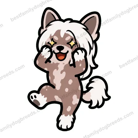 Chinese Crested dog meme sticker preview