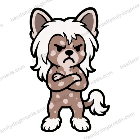 Chinese Crested sticker 7