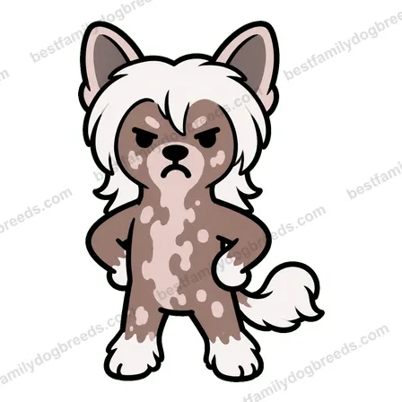 Chinese Crested sticker 9