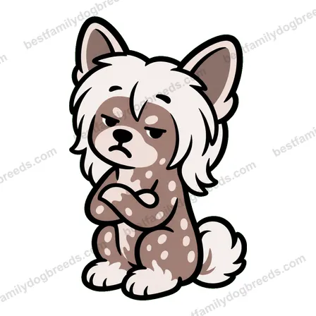 Chinese Crested sticker 19