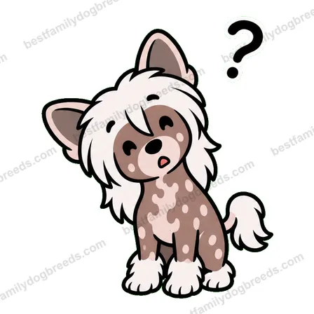 Chinese Crested dog meme sticker preview