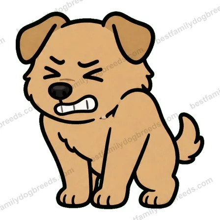 Chinook dog meme sticker preview