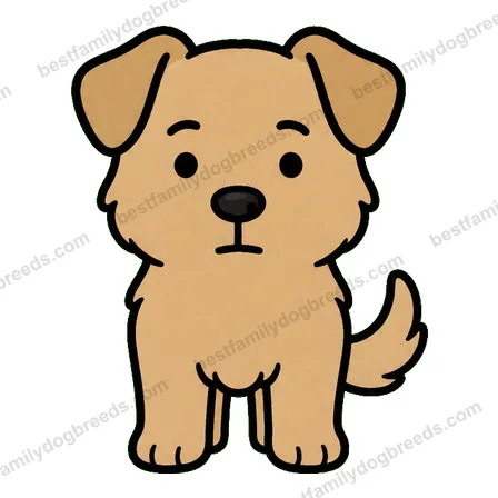 Chinook sticker 34