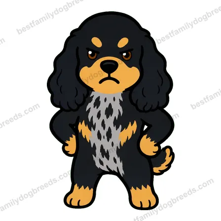 Cocker Spaniel sticker 9