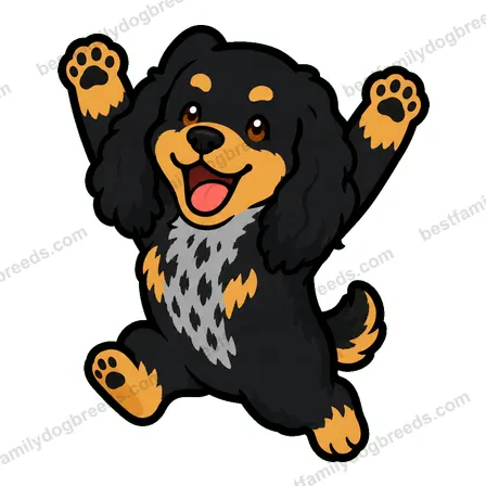 Cocker Spaniel sticker 13