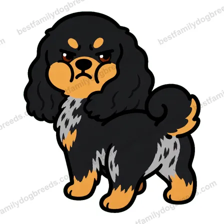 Cocker Spaniel dog meme sticker preview