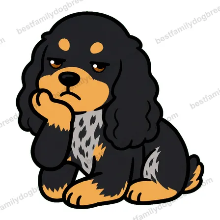 Cocker Spaniel sticker 26
