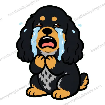 Cocker Spaniel dog meme sticker preview