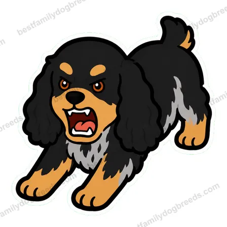 Cocker Spaniel sticker 30