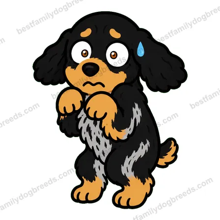Cocker Spaniel dog meme sticker preview