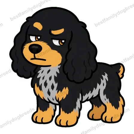 Cocker Spaniel sticker 33