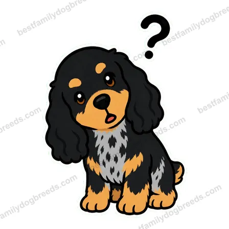 Cocker Spaniel dog meme sticker preview