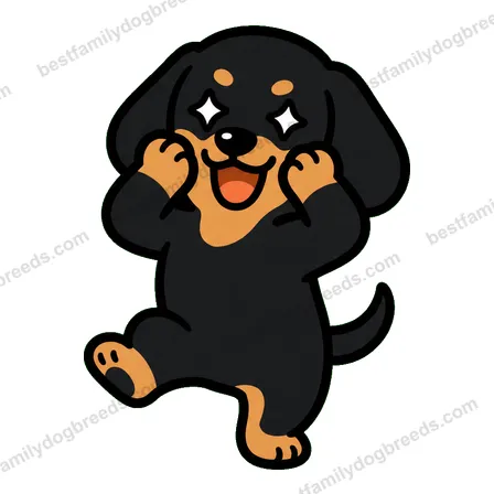 Dachshund dog meme sticker preview