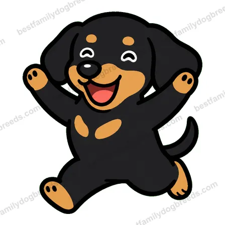 Dachshund dog meme sticker preview
