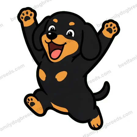 Dachshund sticker 13