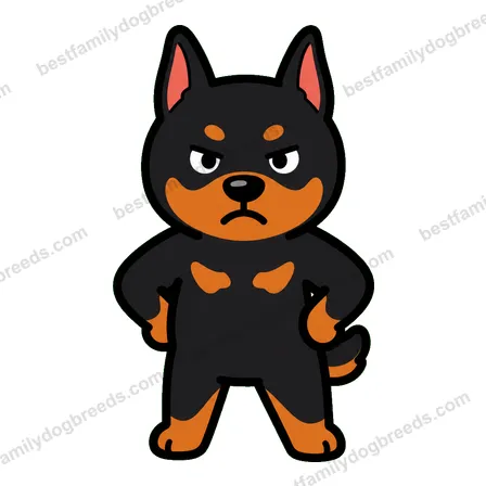 Doberman Pinscher sticker 9