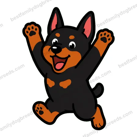 Doberman Pinscher sticker 13