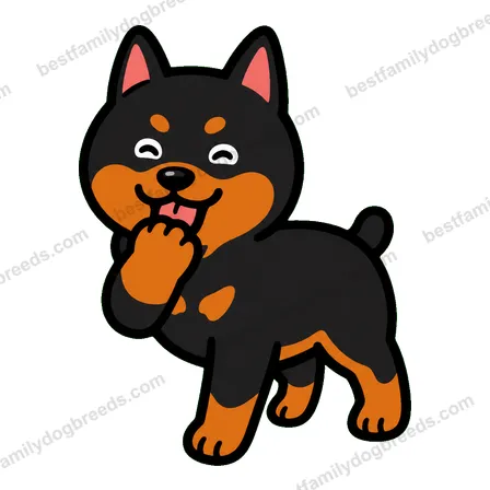 Doberman Pinscher sticker 16
