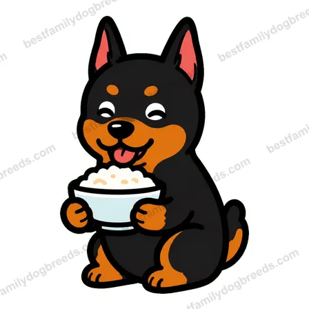 Doberman Pinscher sticker 21