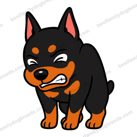 Doberman Pinscher dog meme sticker preview