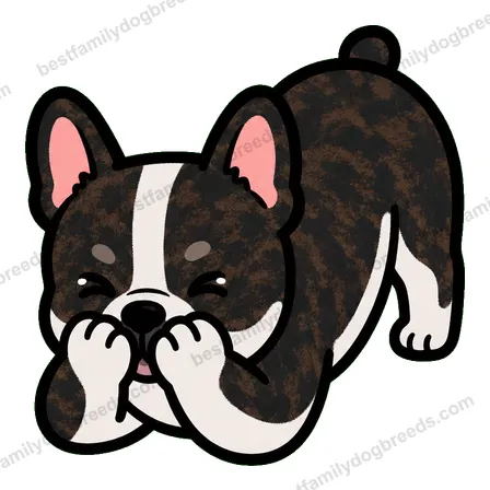French Bulldog cute dog meme sticker