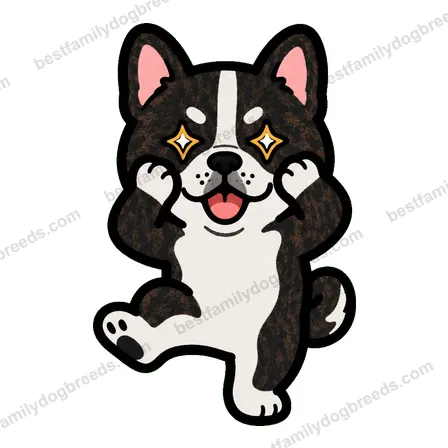 French Bulldog dog meme sticker preview