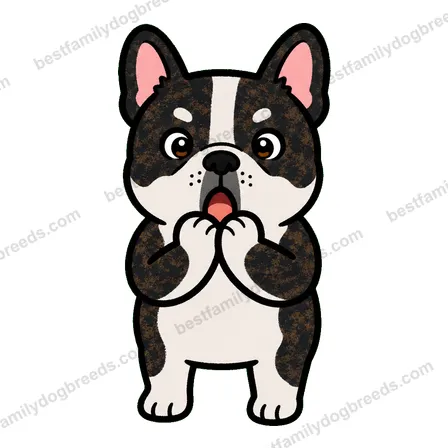 French Bulldog surprised dog meme sticker