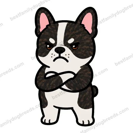 French Bulldog angry dog meme sticker