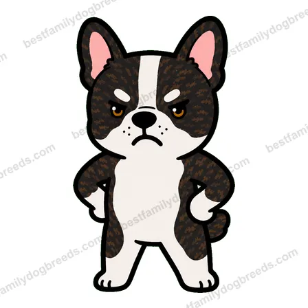 French Bulldog sticker 9