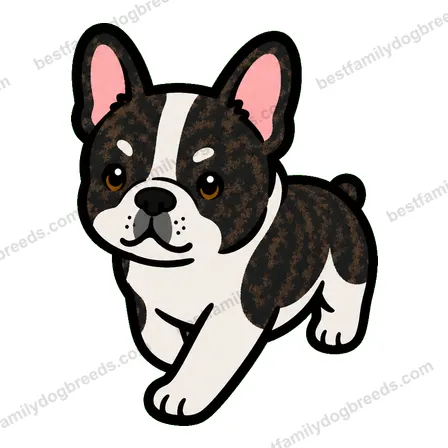 French Bulldog dog meme sticker preview