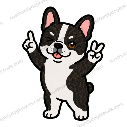 French Bulldog sticker 12