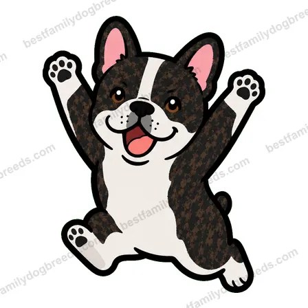 French Bulldog sticker 13