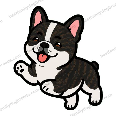 French Bulldog sticker 14