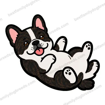 French Bulldog dog meme sticker preview
