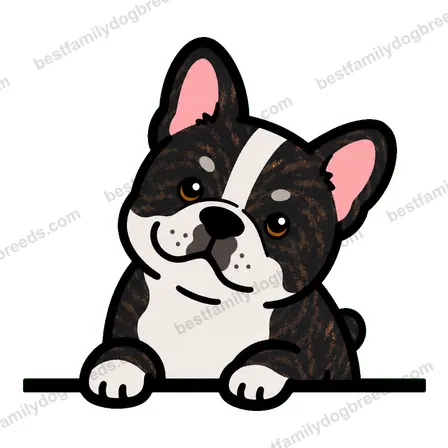 French Bulldog sticker 17