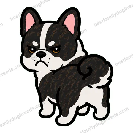 French Bulldog dog meme sticker preview