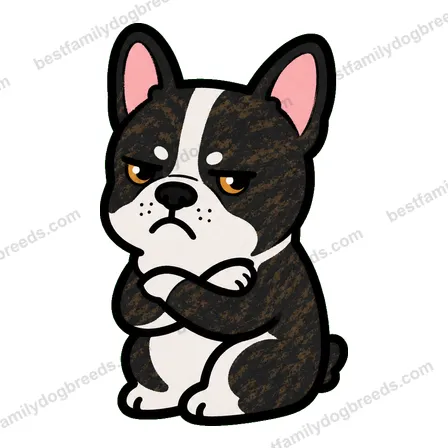 French Bulldog sad dog meme sticker