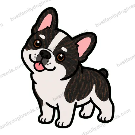 French Bulldog sticker 25