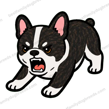 French Bulldog sticker 30