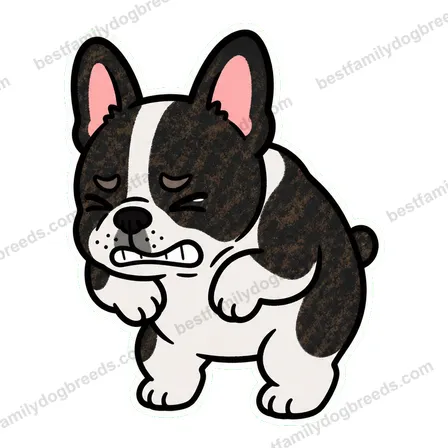French Bulldog dog closing eyes meme sticker preview