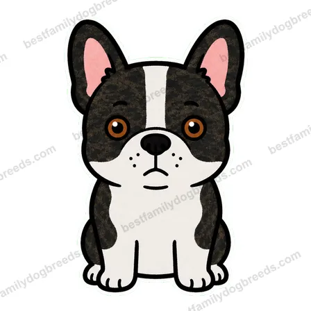 French Bulldog dog staring meme sticker