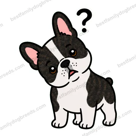 French Bulldog dog meme sticker preview